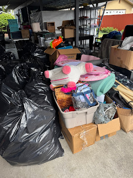 Full Junk Cleanout